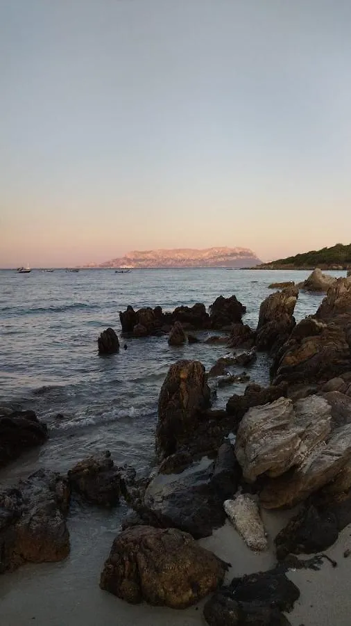 Appartamento - Villaggio Terrata- Golfo Aranci Marinella  0*, Marinella (Sardinia)
