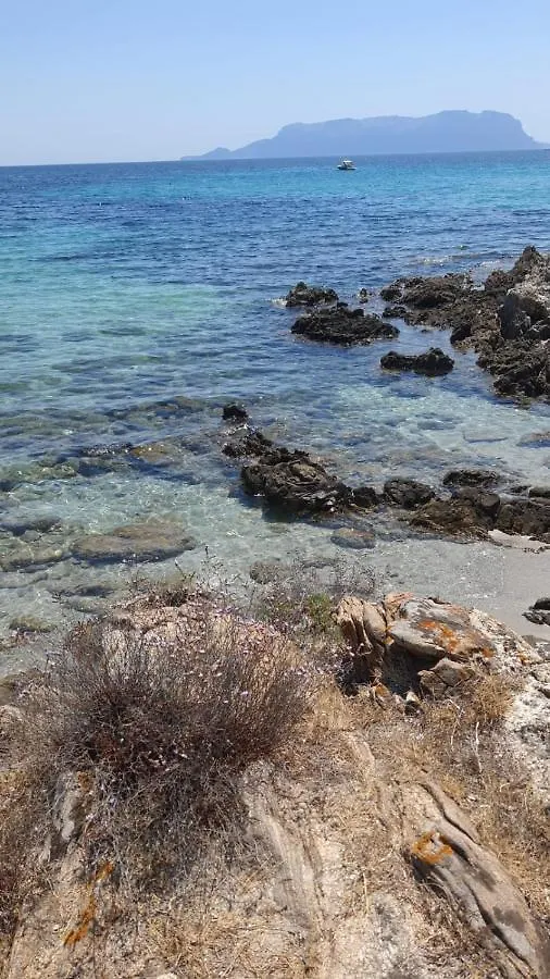 Appartamento - Villaggio Terrata- Golfo Aranci Marinella  Holiday home